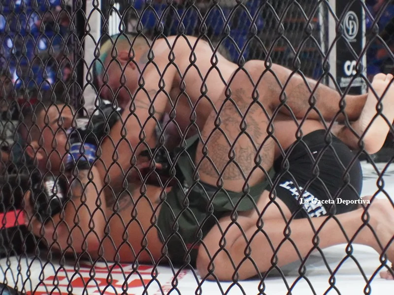 war_cartagena_2026_MMA_29