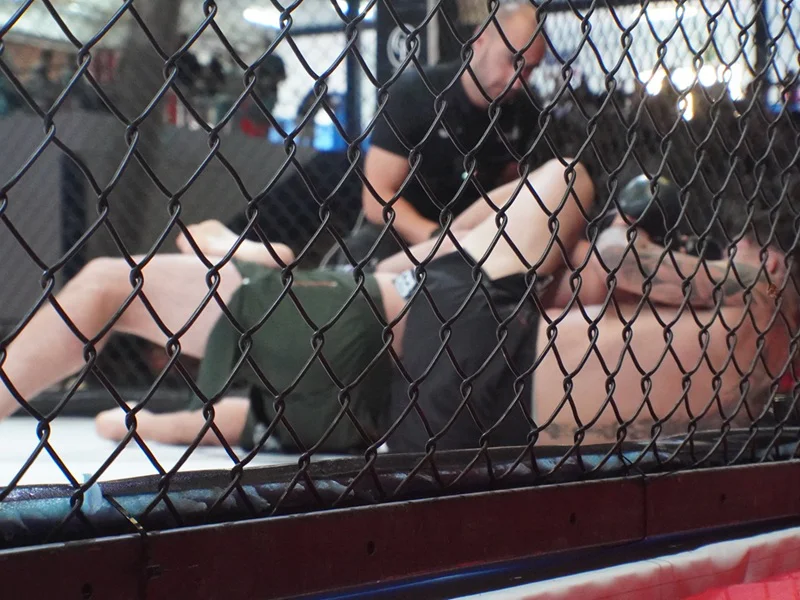 war_cartagena_2026_MMA_10