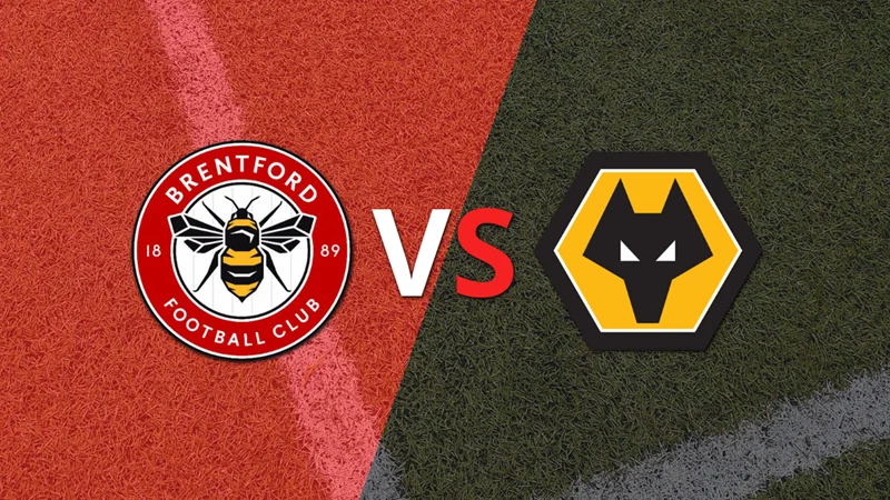 Brentford_Wolverhampton_premier26