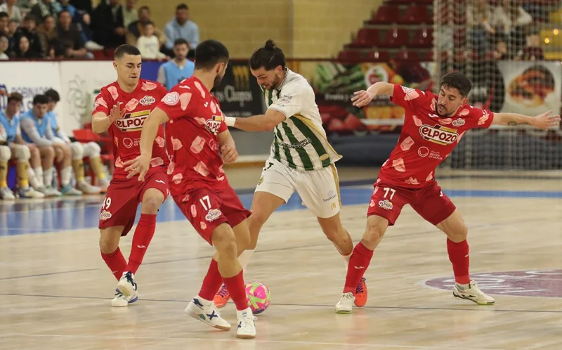 elpozo_cordoba_futbol_sala_2026_5
