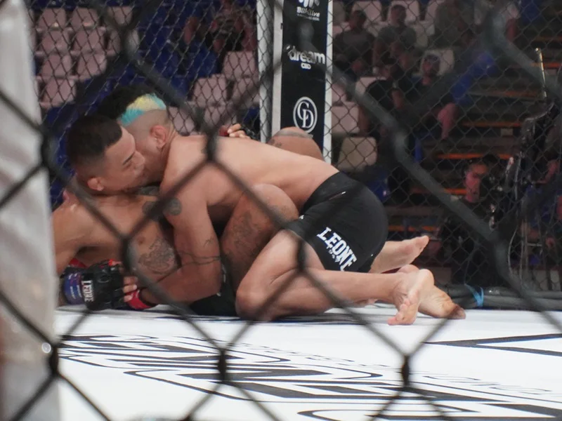 war_cartagena_2026_MMA_30