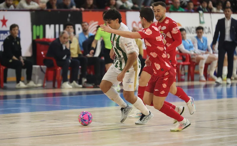 elpozo_cordoba_futbol_sala_2026_6