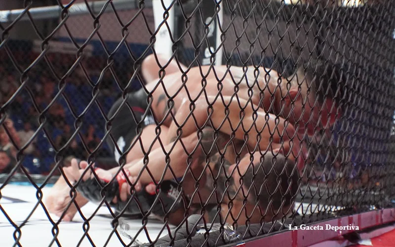 war_cartagena_2026_MMA_34