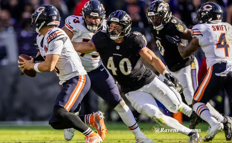 _nfl_BALTIMORE_RAVENS_buchanan