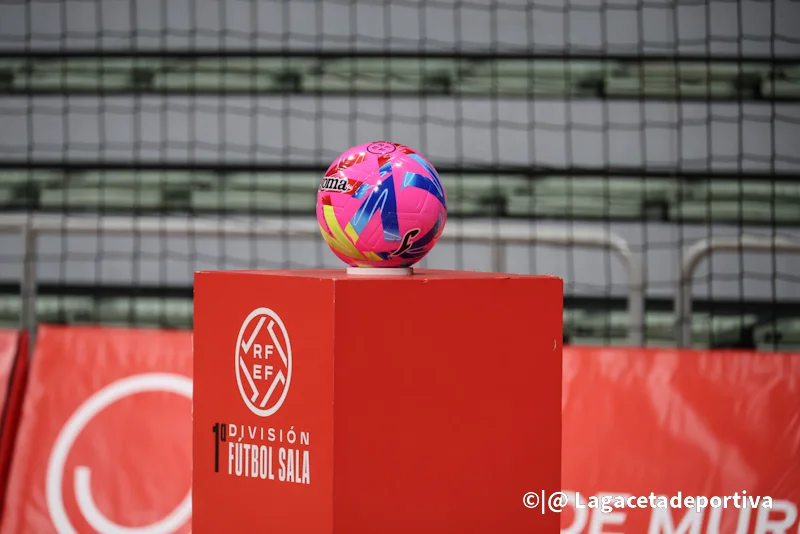 EL POZO O PARRULO (1)