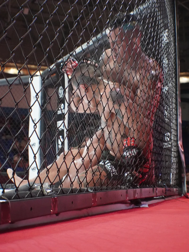 war_cartagena_2026_MMA_35