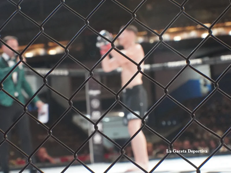 war_cartagena_2026_MMA_16