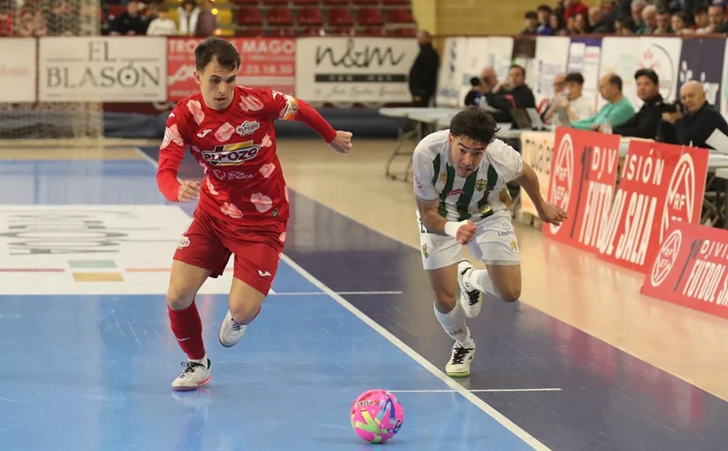 elpozo_cordoba_futbol_sala_2026_3