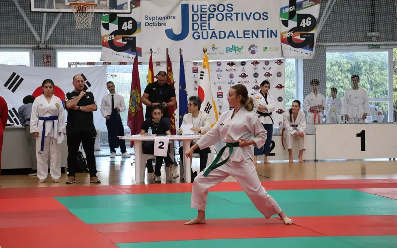 Taekwondo