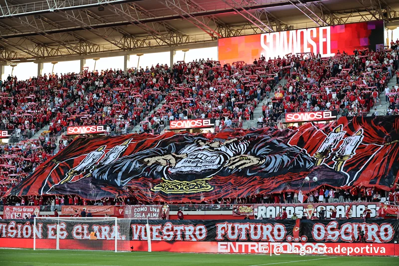 REAL MURCIA CARTAGENA-28