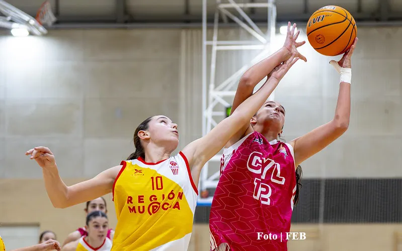 55025086250_dcda92c7ba_c