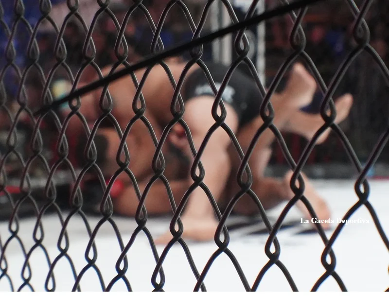 war_cartagena_2026_MMA_24